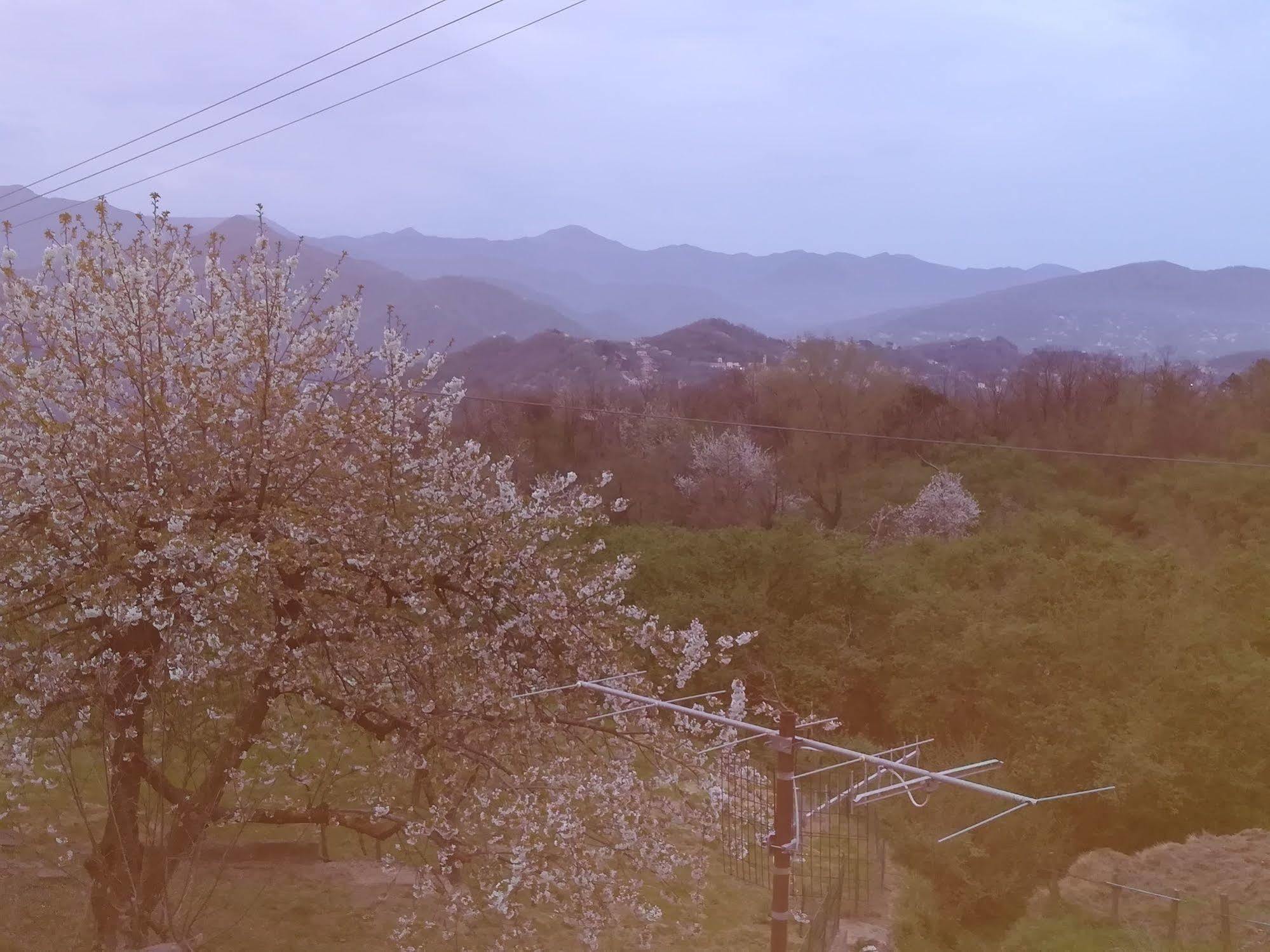 Locanda Primo Sole Leivi Luaran gambar
